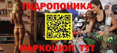 гашик Бердск