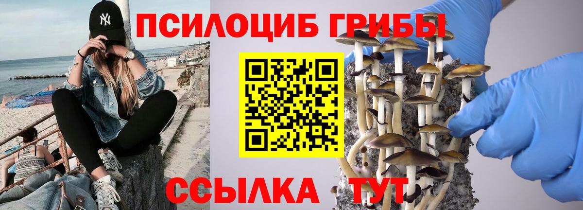 Галлюциногенные грибы Cubensis  Псилоцибиновые грибы MAGIC MUSHROOMS  Елец  Вход с VPN 